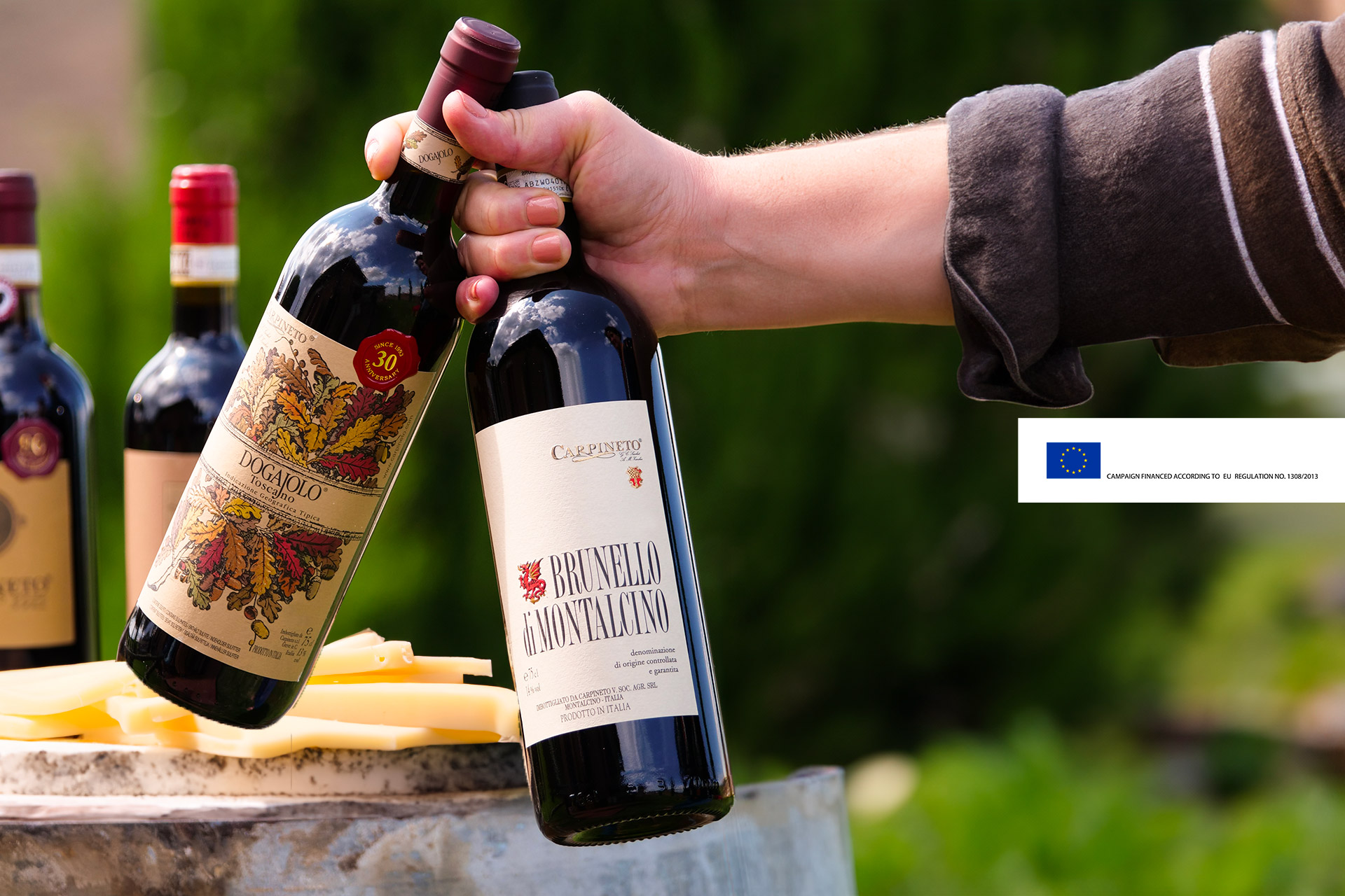 Italian cheese and its best pairings with wine
